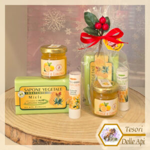 Miele Frutta Stick Labbra Sapone vegetale al miele Confezione Natalizia TESORI DELLE API
