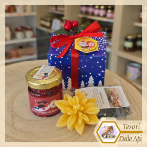 Mielino Frutta Spezie 50g Infuso Te Stella Natale Scatolina Natalizia TESORI DELLE API