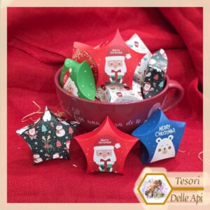 Infuso 20g in Confezione Stella di Natale a scelta